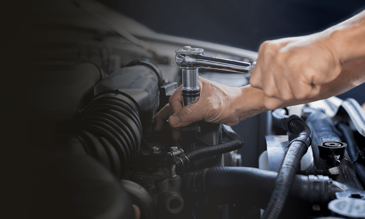 ボストックMV画像