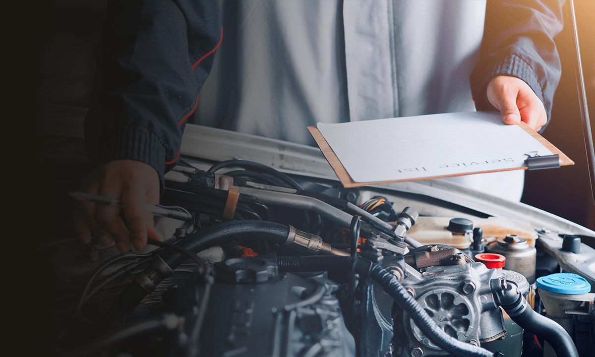 ボストックMV画像